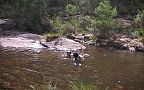 05-A great camp spot on the Avon River